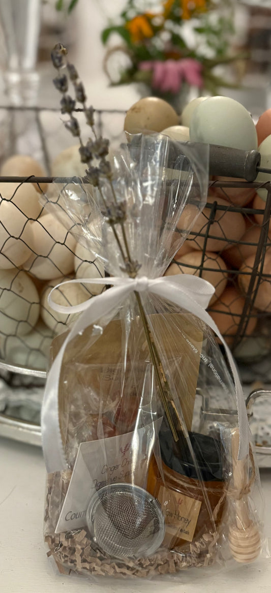 Digestive Support Bundle