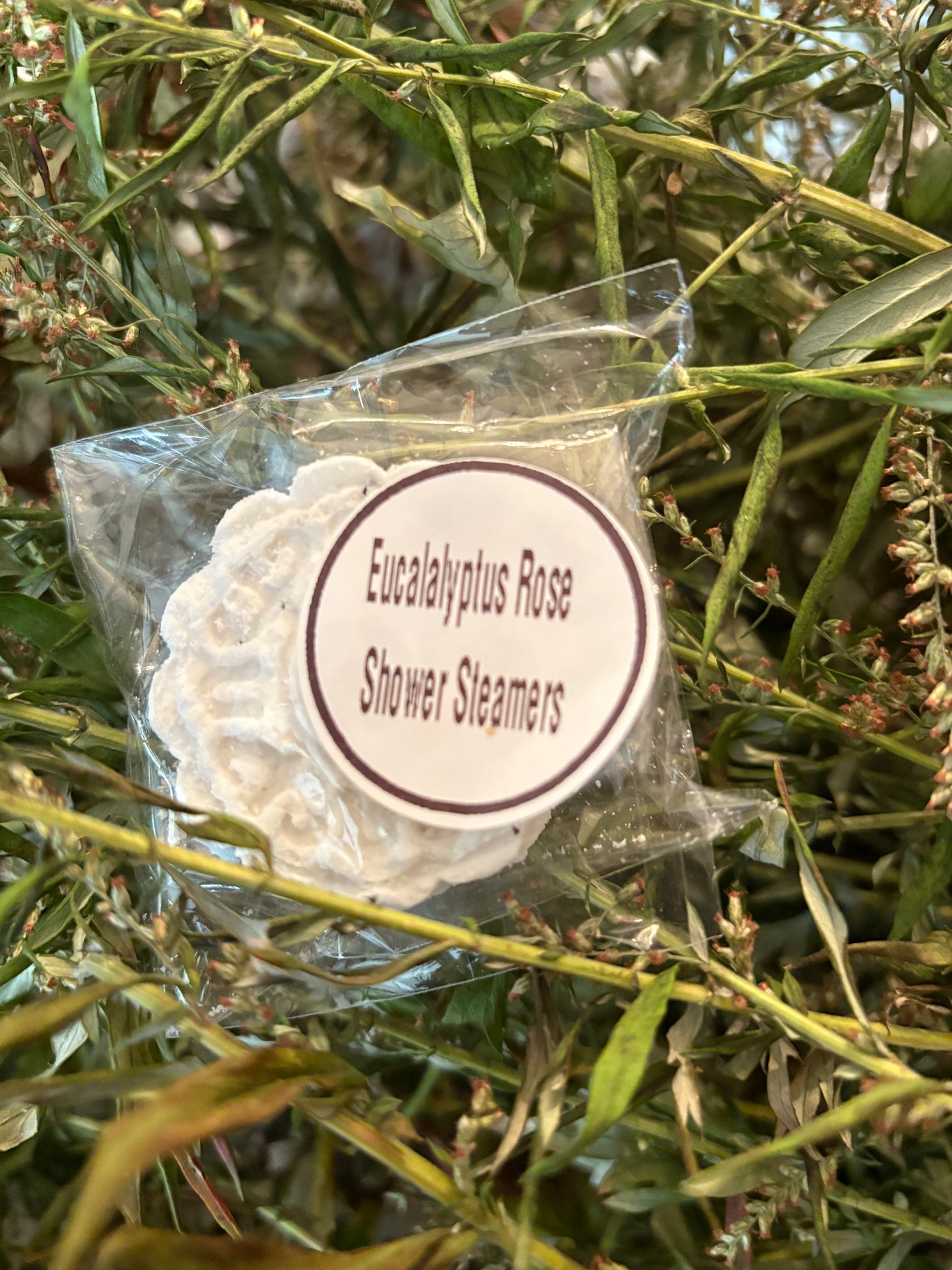 Eucalyptus Shower Steamers