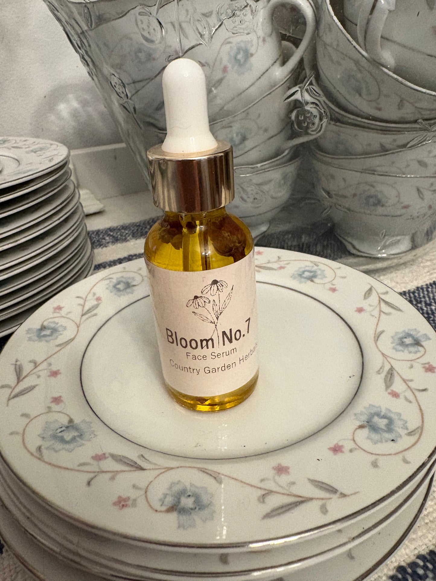 Bloom No 7